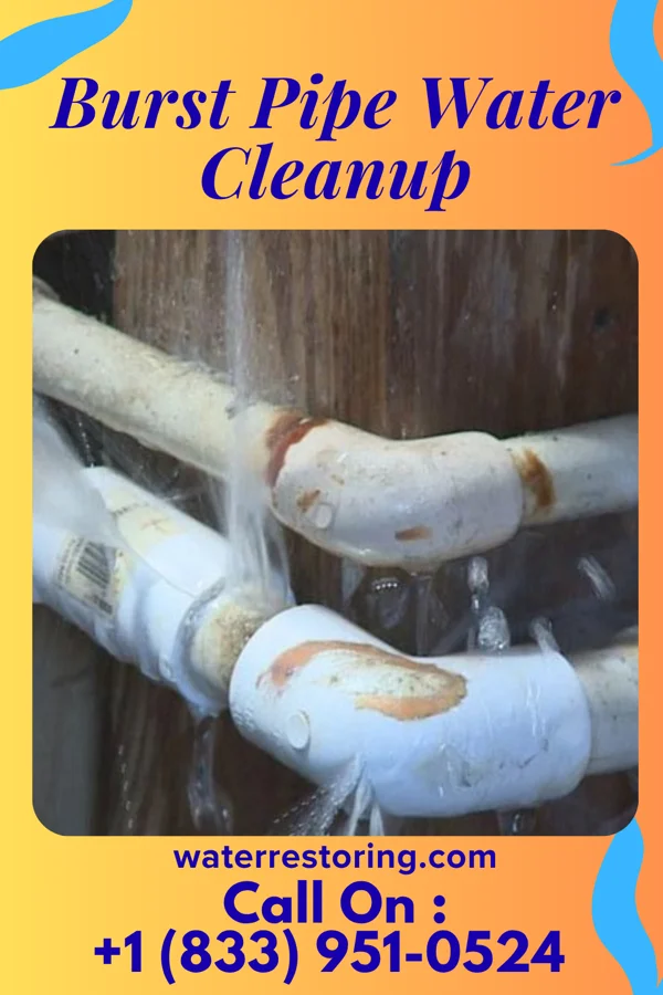 Burst Pipe Water Cleanup in Moline Acres, MO