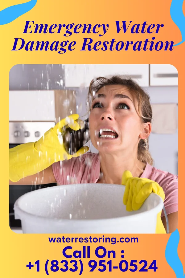 Emergency Water Damage Restoration in Moline Acres, MO