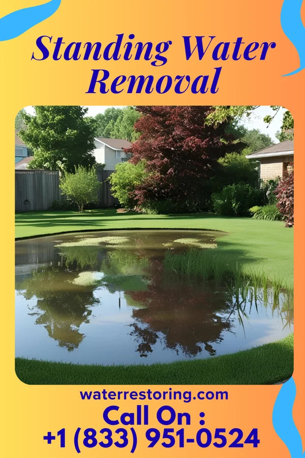 Standing Water Removal in Moline Acres, MO